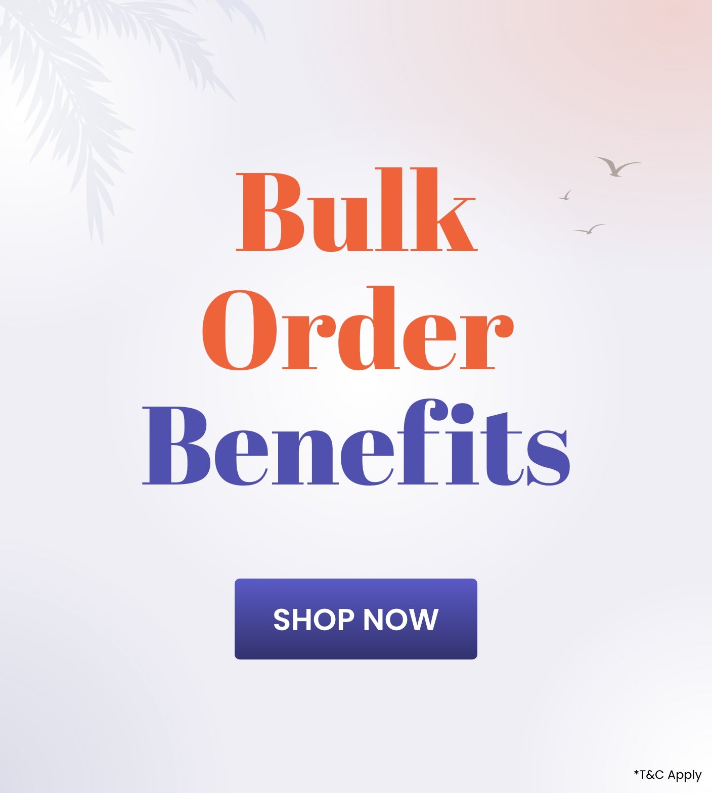 Bulk Orders_C2_SB_0204-1204_US