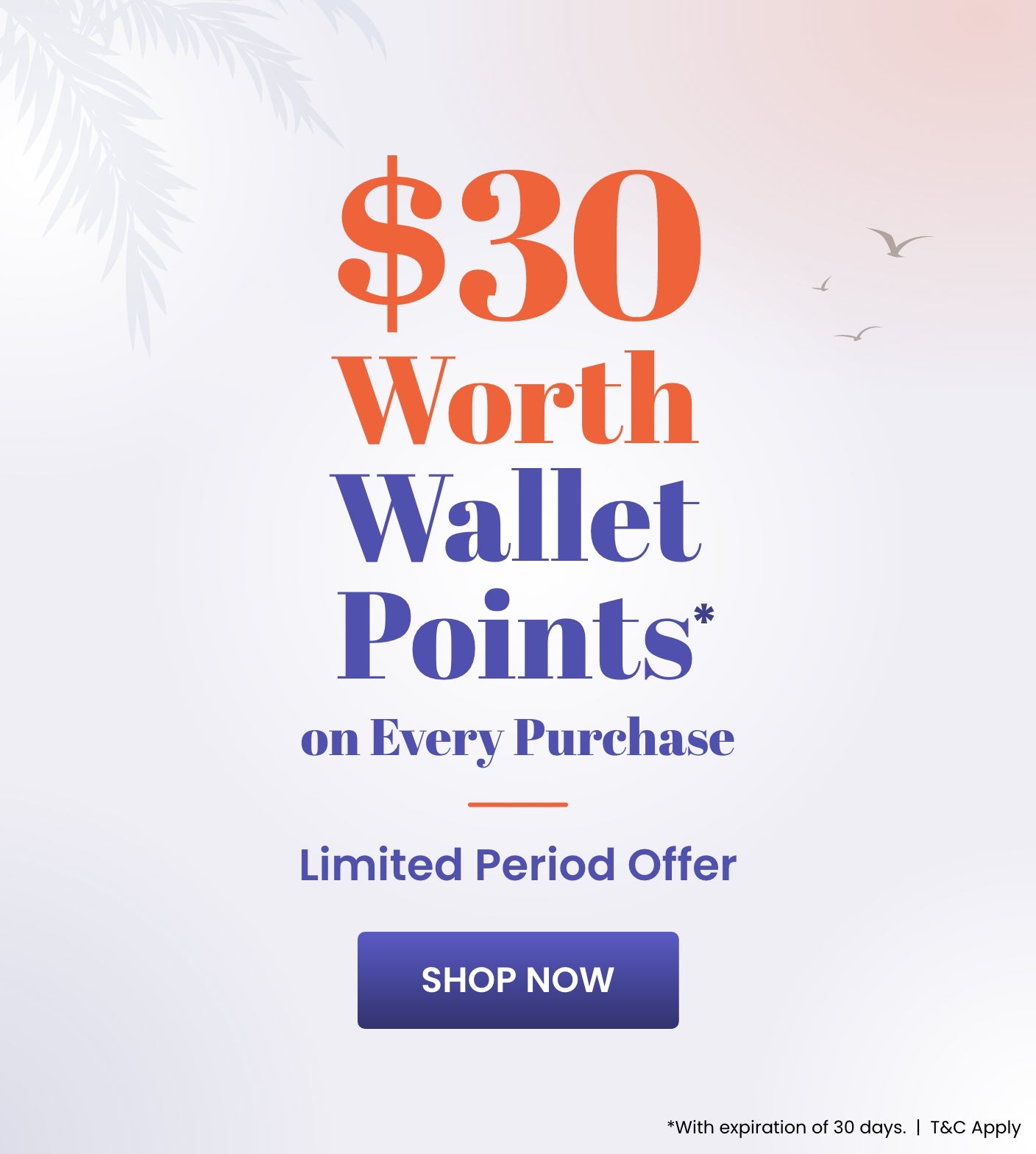 Wallet_Offer_C3_SB_1304-1504_US