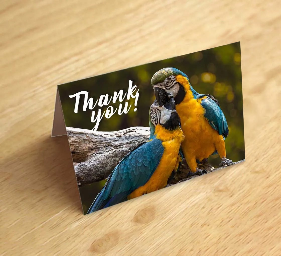 Shop for Folded Thank You Cards at Best Price| BannerBuzz
