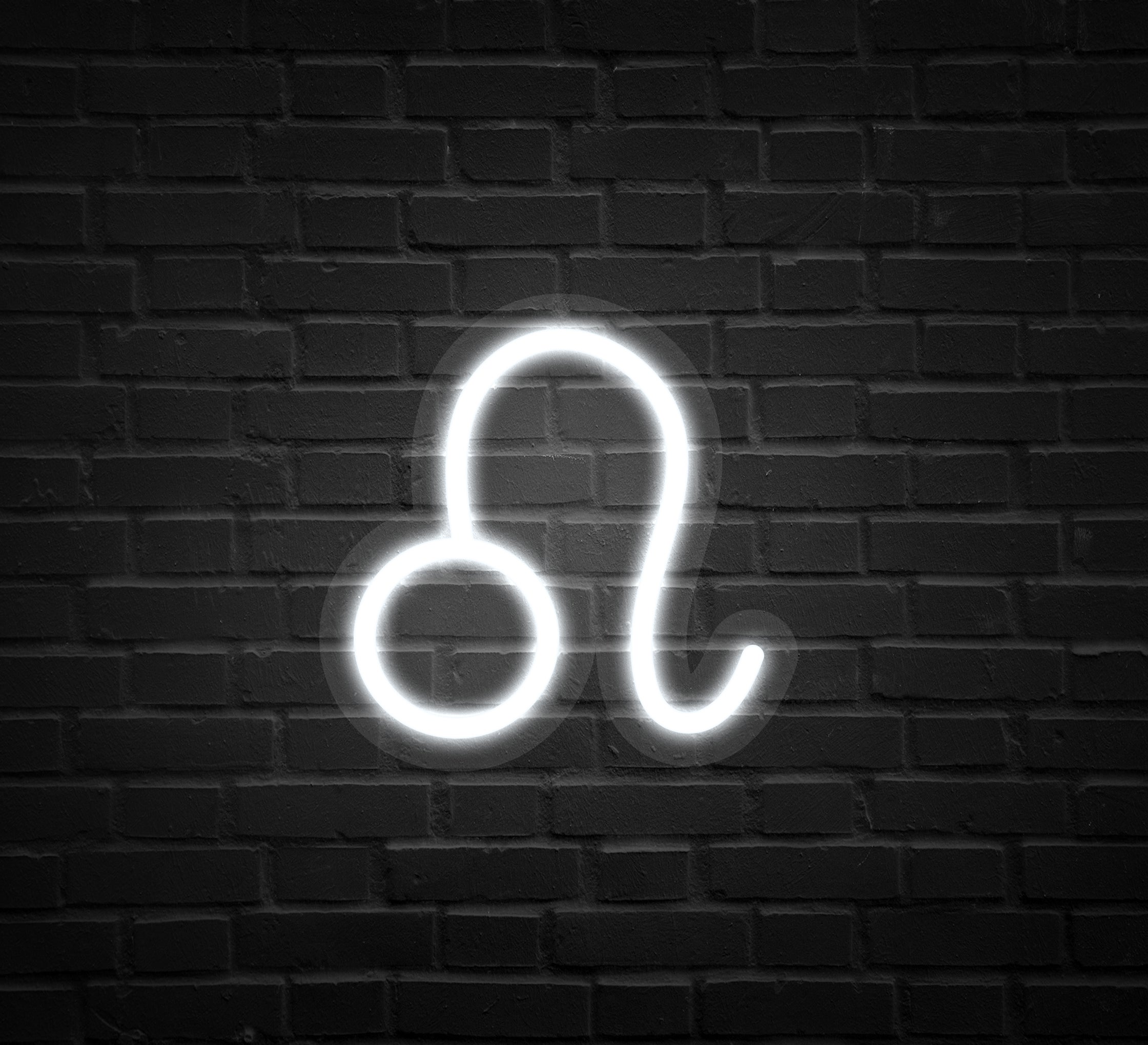 Leo Neon Sign