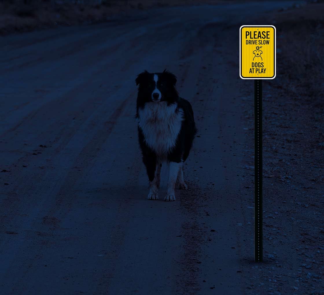 Shop for Please Drive Slow Dogs At Play Aluminum Sign (EGR Reflective ...