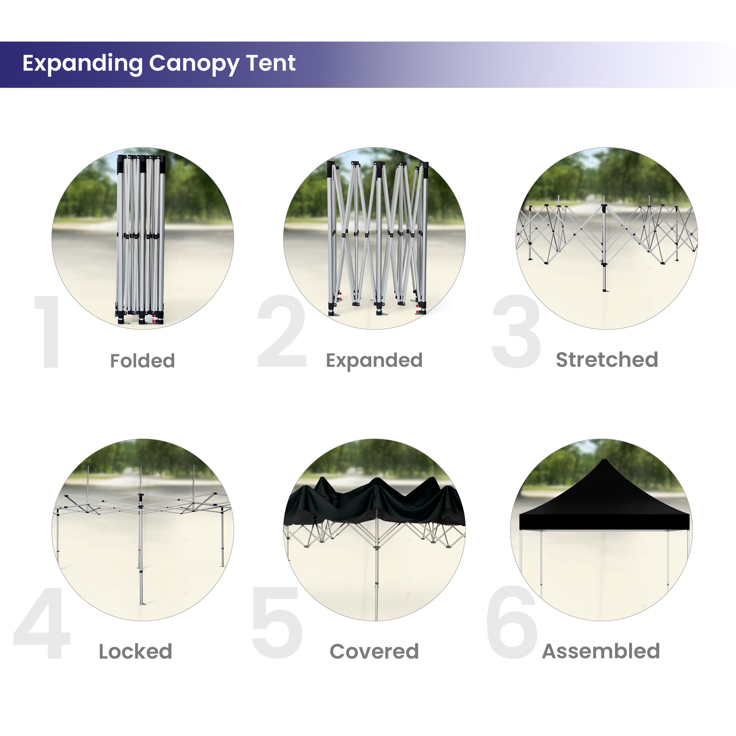 Pop Up Canopy Tent