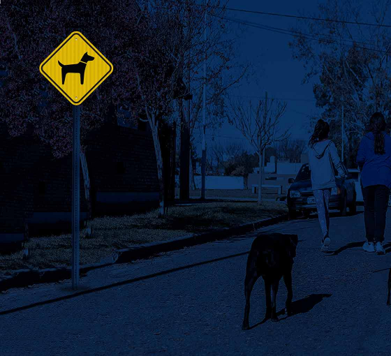 Golden Retriever Guard Dog Symbol Aluminum Sign (EGR Reflective)