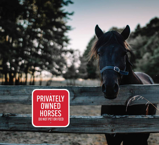 Owned Horses Do Not Pet Or Feed Aluminum Sign (Non Reflective)