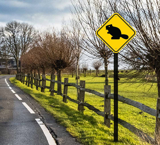 Beaver Crossing Aluminum Sign (Non Reflective)