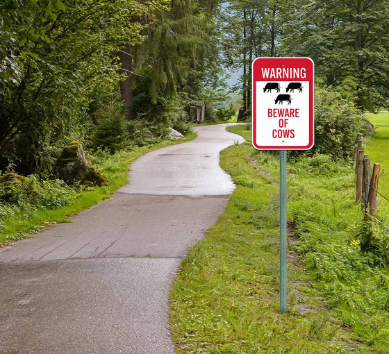 Beware Of Cows Aluminum Sign (Non Reflective)