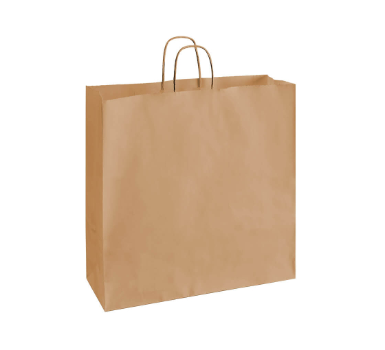 Kraft Paper Shopping Bags (Non-Printed) by BannerBuzz