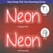 Planet Neon Sign