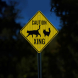 Caution Cat With Kittens Xing Aluminum Sign (HIP Reflective)