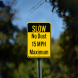 Slow No Dust 15 MPH Maximum Aluminum Sign (Non Reflective)