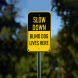 Slow Down Blind Dog Lives Here Aluminum Sign (Non Reflective)