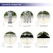 Blank Canopy Tent