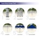 Blue Canopy Tents