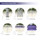 Custom Canopy Tents 10 x 20