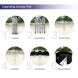 Emergency Medical Tents 10 x 10