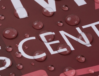  Wall Decals Water-Resistant